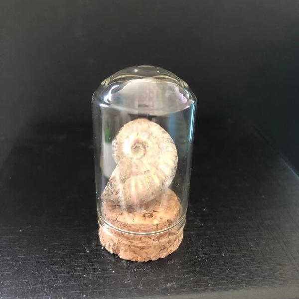 Natural Crystal Rock Mineral Specimens: Educational Gifts for Kids