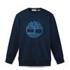 Outdoor Casual Fleece Lined Sweatshirt Men Tops Deep-Sapphire-Blue A43Y5433