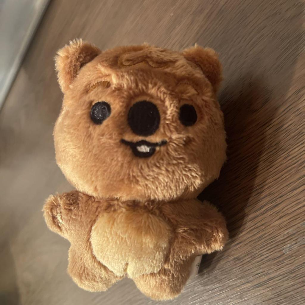 [USED] Stray Kids Han Plush Toy, Master Goods