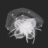 Tulle Petal Feather Headpiece Veil Headband with Hair Clip Mesh Flower Headwear  Cocktail Tea Party