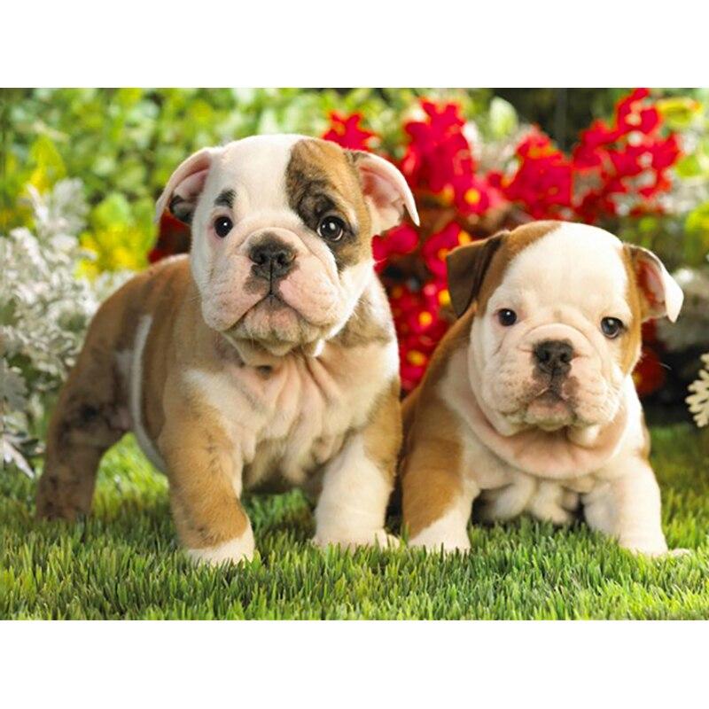 Новый 5D DIY алмазная живопись собака Алмазная вышивка животное вышивка крестиком полная квадратная круглая дрель ремесла домашний декор ручной художественный подарок