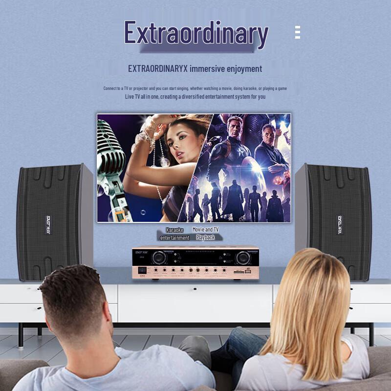 Профессиональные пассивные акустические системы SAST для KTV и конференций