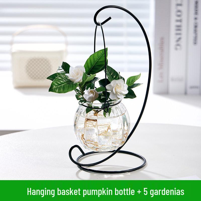 Indoor Desktop Murraya: Easy-Care Blooming Green Hydroponic Plants for Office & Living Room