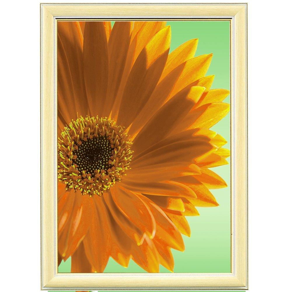 KOKUYO Certificate Frame B4 KA-241