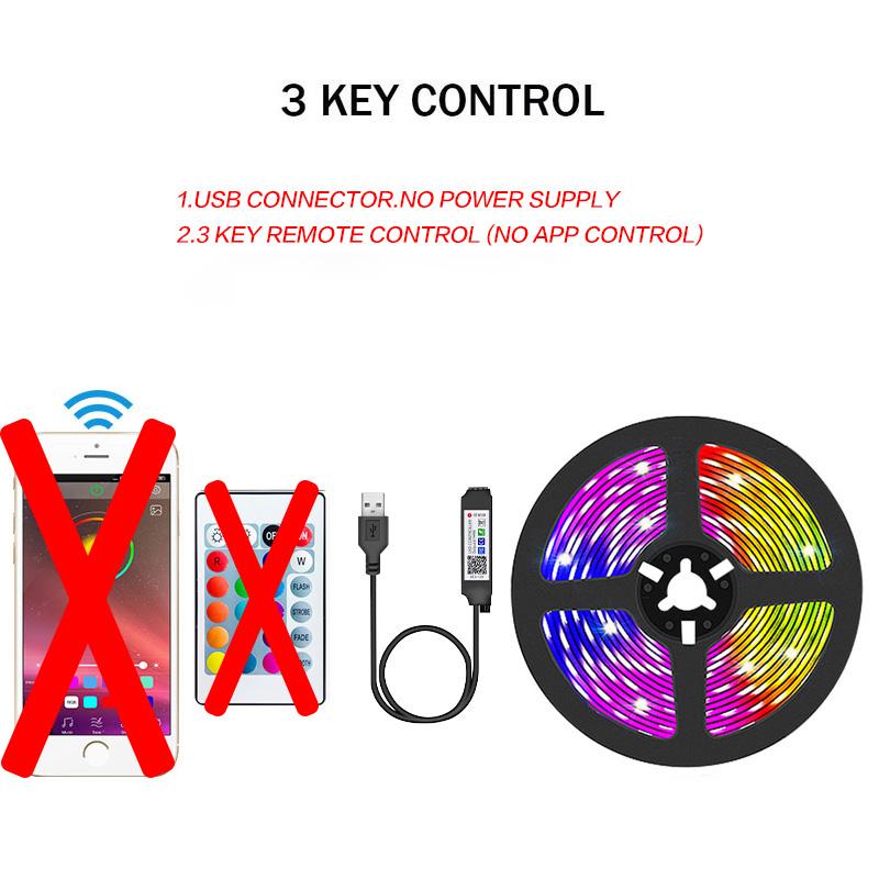 1-30 м USB-светодиодная полоса RGB 5050 Bluetooth-лента для рождественского украшения комнаты Led Luces Гибкая подсветка рабочего стола Экран телевизора Фоновое освещение