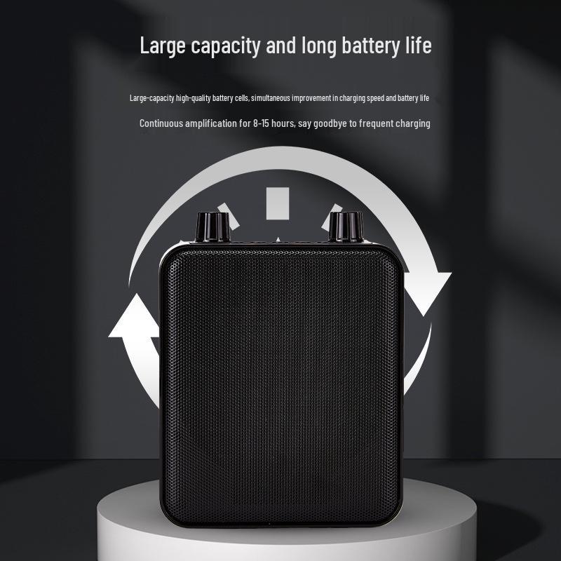 BeeAmplify: Wireless Bluetooth Microphone & Loudspeaker for Teachers, Portable Classroom & Public Address System with Playback