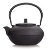 Iron Tea Pot with Stainless Steel Infuser Cast Iron Kettle Boiling Water