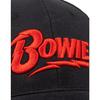 David Bowie Кепка с логотипом унисекс для взрослых