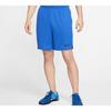 Nike Dri Fit Rise 365 Casual Shorts Men's CJ2008-480