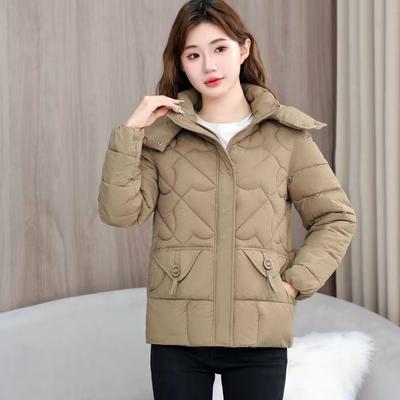 Пальто с капюшоном на молнии, повседневное утепленное пальто с длинными рукавами и карманами для осени и зимы, женская одежда