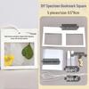 DIY Kit: Handmade Dried Flower and Leaf Bookmarks