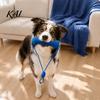 Safe Puppy Chew Toy Dog Toys for Aggressive Chewers, 2-in-1 Teeth Cleaning Dental Care with Interactive Pet Rope, Bone Shaped TPR Tough Medium