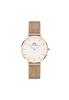 Daniel Wellington DW00100163 [Товары параллельного импорта]