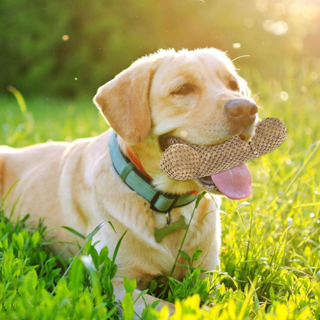 Плюшевые игрушки для собак, агрессивные жевательные игрушки для маленьких и средних собак