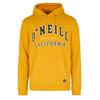 O'neill Surf State Hoodie Luminous Days [2750074-12021] r. M