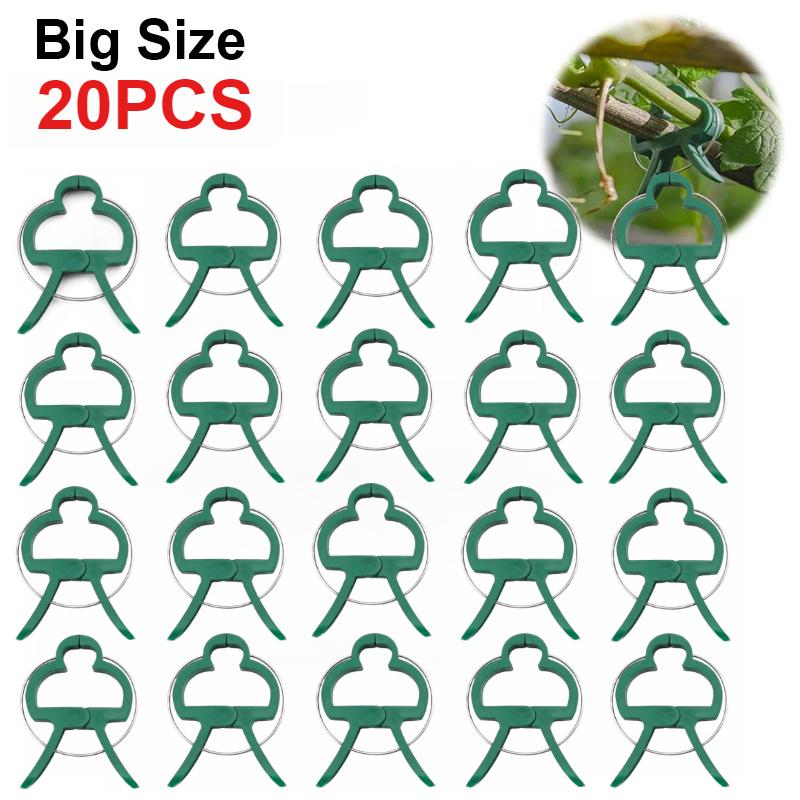 50 шт. фиксированных зажимов для растений, многоразовый зажим для садовой теплицы, кронштейн для фиксированных растений, инструментов для поддержки стеблей саженцев виноградной лозы