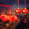 Traditional Chinese New Year Lantern Fu Character Print Spring Festival Lantern with Tassel Holiday Decoration