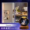 Archnote Cat Crystal Ball with LED Perfect for Gift Box Included Gift, Light, Women,
