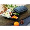 Skater Bento Box, Antibacterial, Leak-Proof, Divided, Integrated Gasket, Fluffy Serving, Single Tier, 850ml, Large Capacity, Black, PALT9AG-A