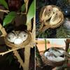Home House Decoration Nature Bird Nest Realistic Feathered Artificial Craft Birds Birds Egg