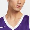 Nike Мужская баскетбольная майка Dri Fit Садовый фиолетовый IB8638-547