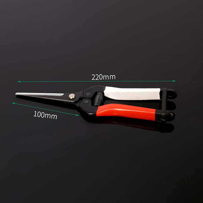 SK5 Steel Sharp Blade Point Head Garden Scissors Flowers Pruner Fruit Branch Pruning Tool Cutter For Bonsai Plants