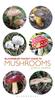 Книга Pocket Guide To Mushrooms
