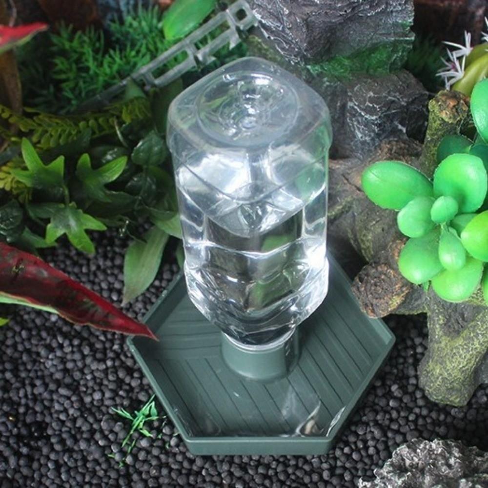 Anti-slip Reptiles Water Feeder Detachable Stable Automatic Water Dispenser Plastic Turtle Water Bowl for Amphibians