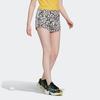 Adidas Originals FIORUCCI Casual Shorts Women's Multicolor Moderate (Unisex) Casual Shorts FL4144