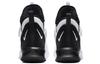 Nike LeBron Solder 13 Essential Белый Черный AR4228-100