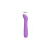 Delightful G-Spot Vibrator - Purple