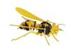 fridolin 3D Paper Model Craft Kit - Hornet