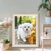 1pc 11.8x15.7 Inch 5D DIY Diamond Painting ,Lovely Dog,for Adult and Kids,Embroidery Kits,Full Rhinestones, Handmade Home Decor Gifts