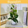 Jump Chrysanthemum Small Rainflower Artificial Green Plant For Interior Decor