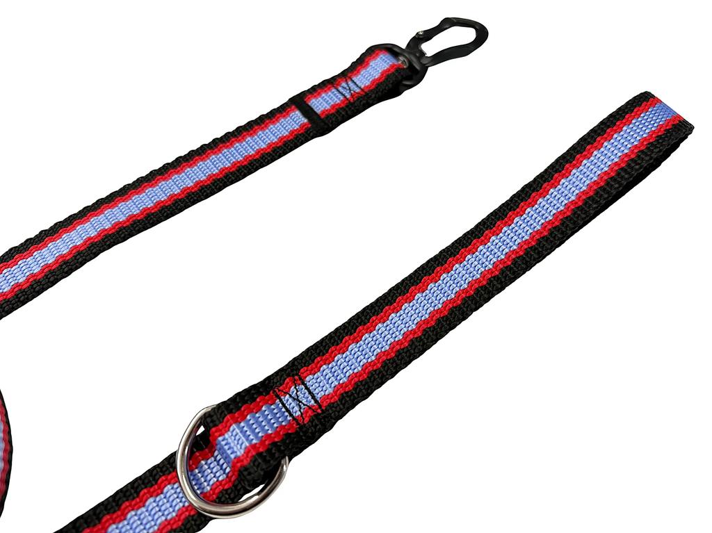 Classic dog leash for walking 400kg Black Red Blue Classic dog leash for walking 400kg Black Red Blue XXXL - 500cm