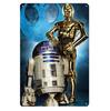 R2D2 C-3PO Droids Movie Metal Poster Tin Sign 20x30 Cm Plate Science Fiction Theme Wall Art Decor