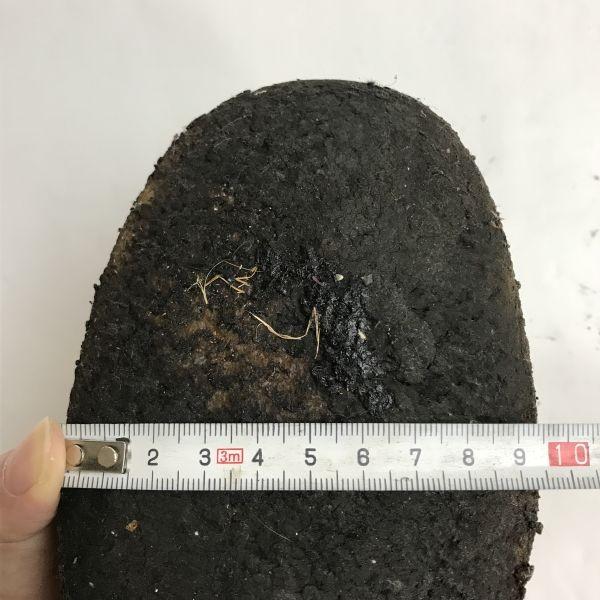 Винтажные замшевые дезерты Wallabee Burberrys, сделано в Японии, бежевые, размер 5.5 24.0 24.5(ИСПОЛЬЗОВАЛ)