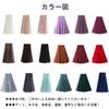 Blostirno Pleated Tulle Long Maxi Length with Elastic Waist and Lined Detail Women's Skirt, A-Line (JP0112-DGR)