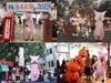 DAIFUQIHUA Inflatable Pig Costume Full Battery or USB Includes Fan and School Cultural Christmas Set, Body, Air-Filled, Durable, Waterproof,