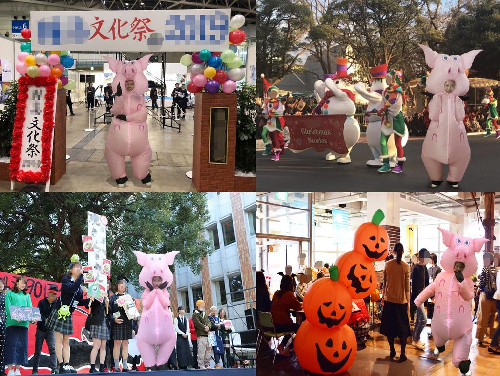 DAIFUQIHUA Inflatable Pig Costume Full Battery or USB Includes Fan and School Cultural Christmas Set, Body, Air-Filled, Durable, Waterproof,