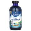 Arctic Cod Liver Oil, Orange, 1,060Mg, 237Ml(8Fl Oz)