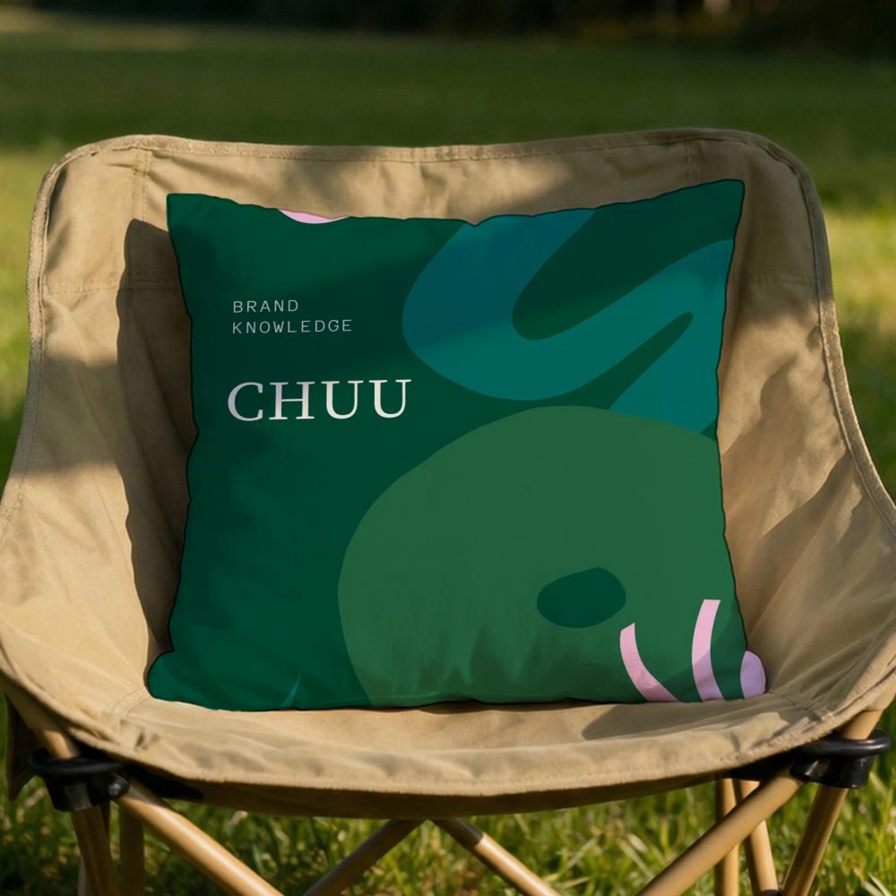Korea Brand CChuu Cushion Cover Soft Reversible Durable Pillow Cover MultiScene Use for Home Car Daily Comfort