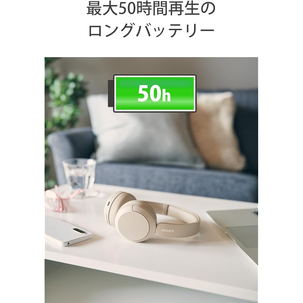 Sony WH-CH520 Wireless Headphones: Bluetooth compatible / Lightweight design (approx. 147g) / Supports "Equalizer" settings for customizable sound qua