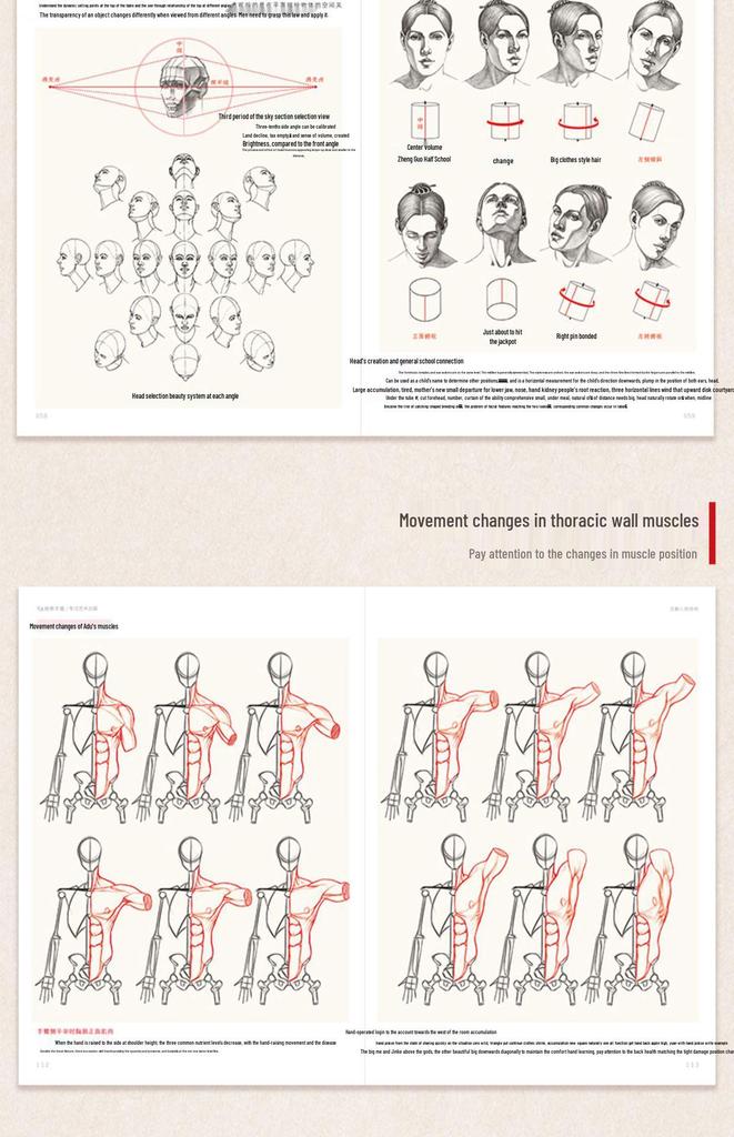 Полное руководство по анатомии человека: Справочник по рисованию и скетчингу для начинающих
