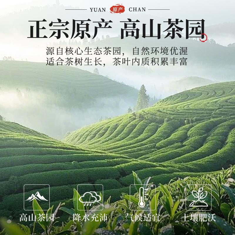 Jieying Green Tea Xinyang Maojian Green Tea Biluochun New Tea Mingqian Longjing Spring Tea Tender Sprout Tea Canned 250g