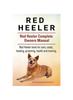Книга Red Heeler Dog. Red Heeler Dog Book for Costs, Care, Feeding, Grooming, Training and Health. Red Heeler Dog Owners Manual.