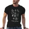 Faerie Friends  One Foot In The Green Tshirt Big Size Simple Tshirt