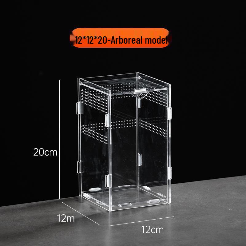 Small Acrylic Reptile Habitat: Transparent Observation Box for Spider, Lizard, Mantis, and Rainforest Landscape