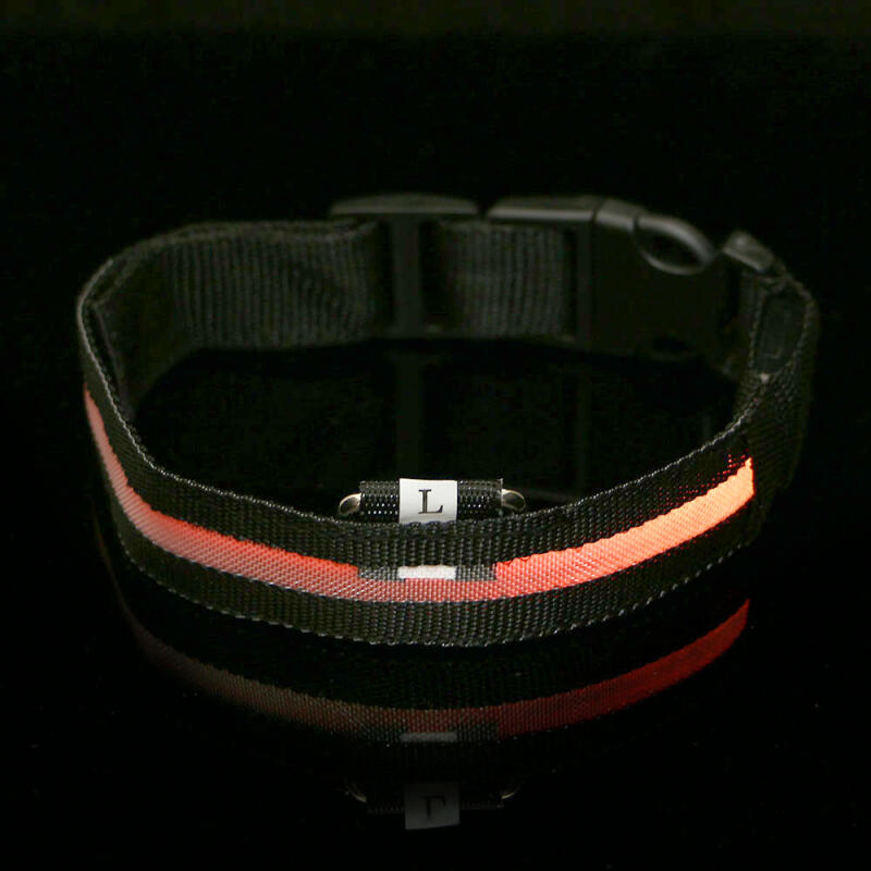 LED Dog Leash (L/Rainbow)