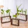 Creative Hydroponic Wood Frame Wall Mounted Tabletop Bonsai New Hydroponic Plants Container